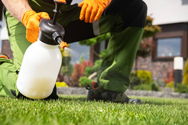 Best Mosquito Control Services  in Larned, KS