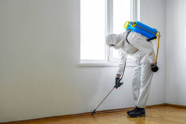 Best Wasp Removal Services  in Larned, KS
