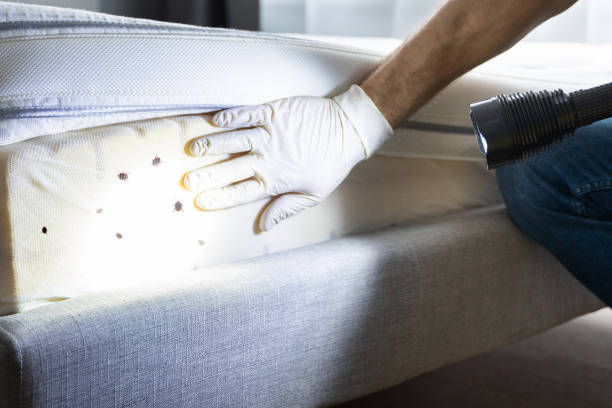 Best Pest Inspection Near Me  in Larned, KS