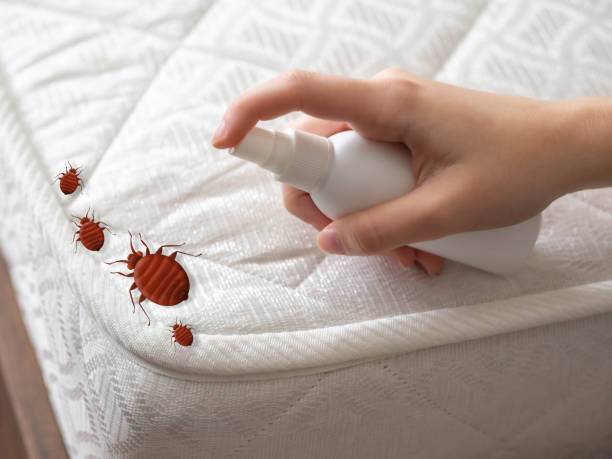 Best Local Pest Control Services  in Larned, KS