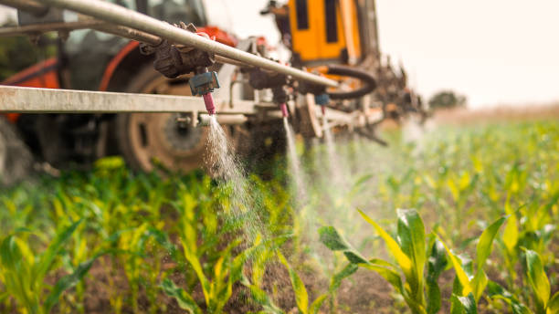 Best Best Pest Control Companies  in Larned, KS