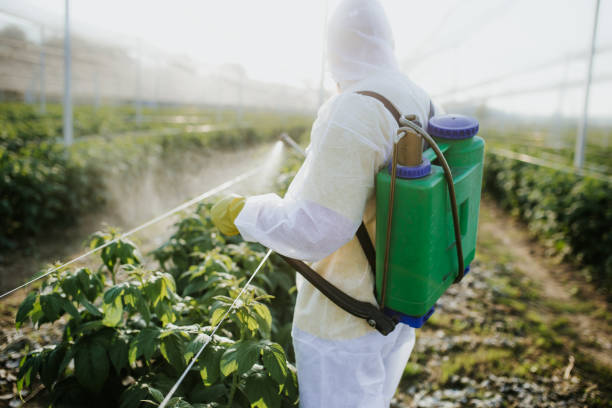 Best Bed Bug Extermination  in Larned, KS